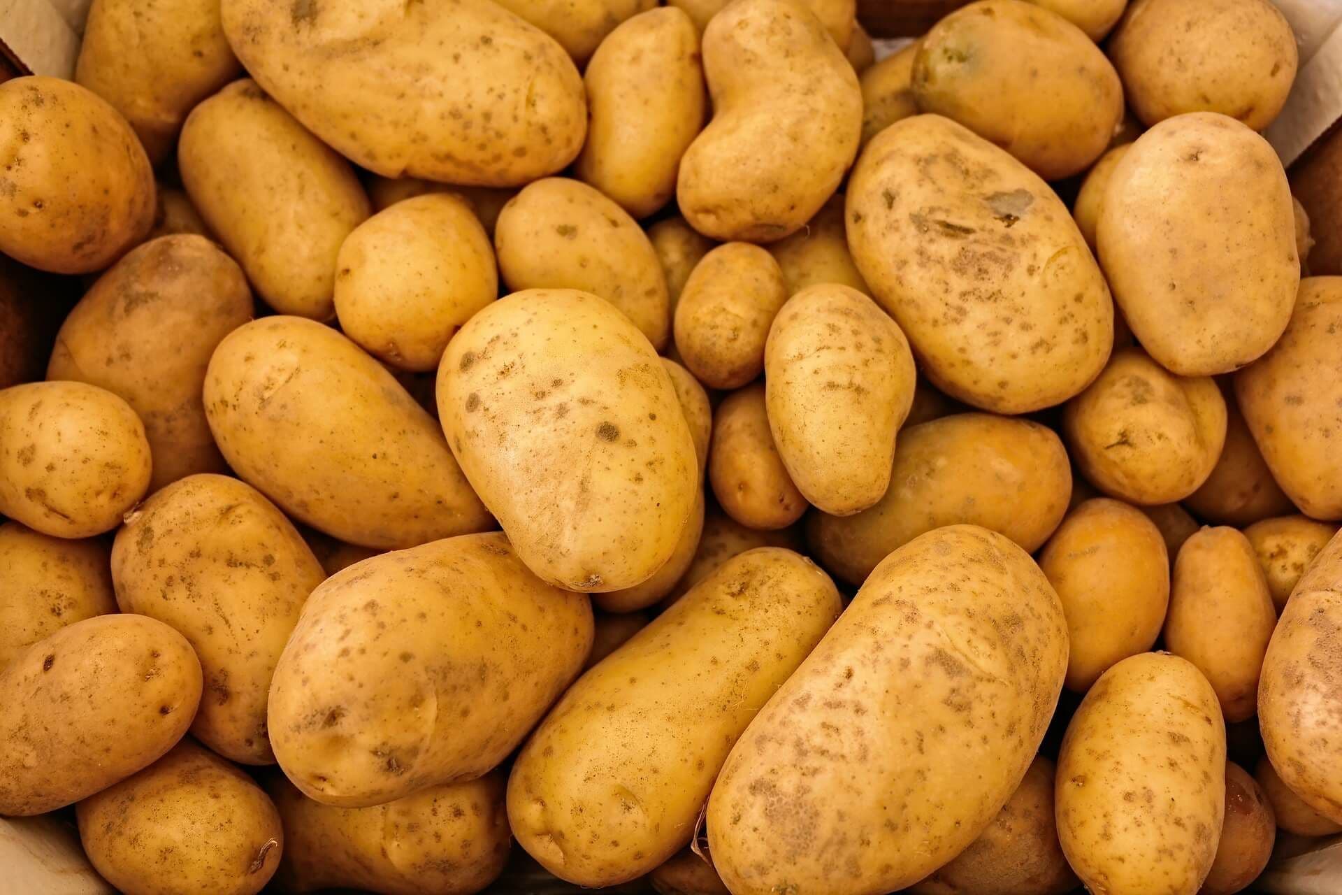Kartoffeltag im Bauernhaus